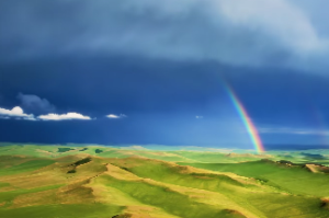 命中主星副星什么意思