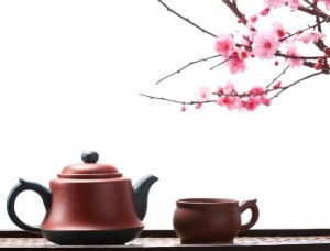 十二生肖适合养的宠物有哪些