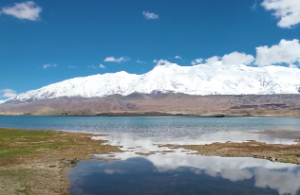 财禄夹马格 日月反背