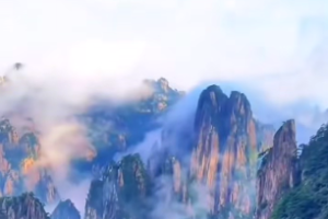 盲派八字看官职大小