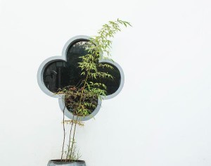 阴暗房间风水讲究