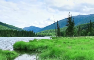 十二地支丑的含义