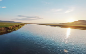 紫微斗数官禄宫详解