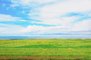 女命四两四钱一生有几段婚姻