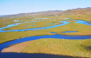 壬子生于戌月喜什么运