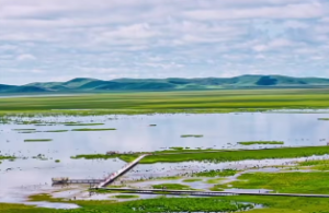 什么事天干合化主事