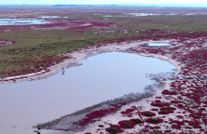 婚姻的四柱算法是什么