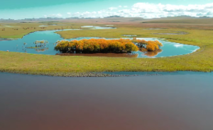 八字水旺的女人的特点