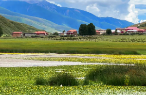  土命几月出生最有福