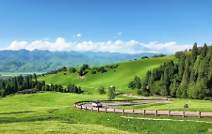 四柱八字断吉凶祸福的实例