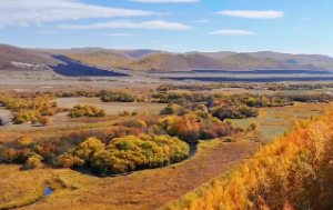 八字无食伤的人笨吗