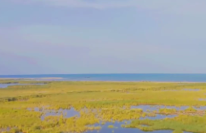 水火既济卦能预测啥