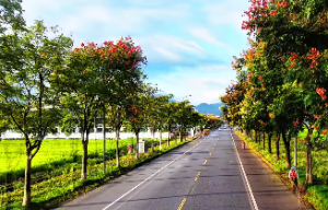 山下火取名带什么字好