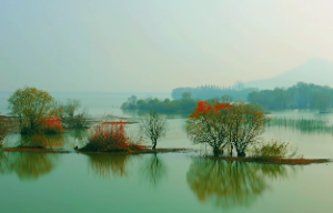 五两二命是富贵命吗？