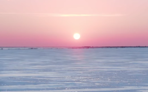 天梁在十二宫男女命详述