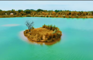 紫微斗数详解四化怎么看