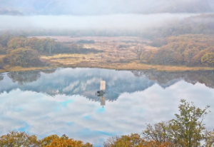 风水里狮子代表什么