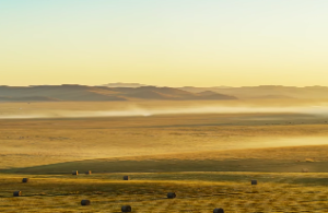 紫微斗数最著名的格局