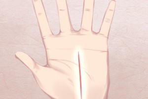 女人有钱的手掌相分析