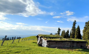 餐厅风水布局怎么摆放才好