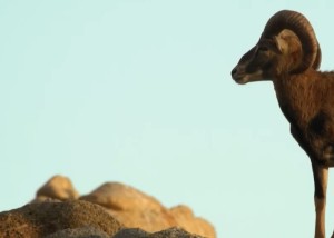 婚姻八字合不合真的有影响吗