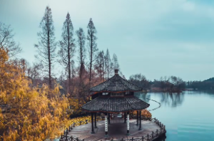 雷火丰卦详解国易堂