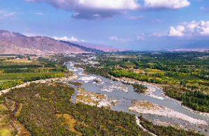 生辰八字算你适合干的行业