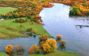 女人天上火命好吗