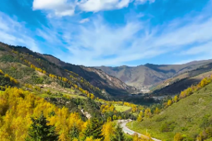 最旺大林木命的东西