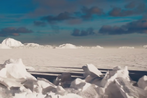 酉时出生的属于什么命