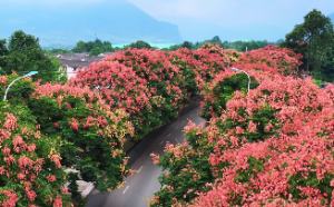 天干地支五行对照表属相