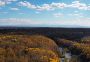 四柱八字看流年运势