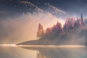 紫微斗数详细解析