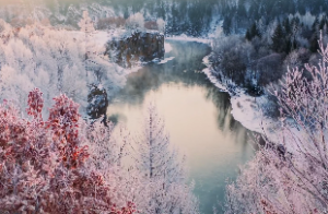 紫微斗数武曲是什么意思