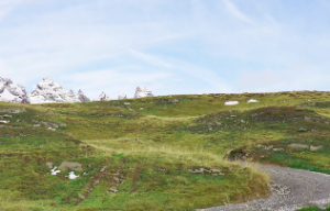 甲子日柱女命好吗