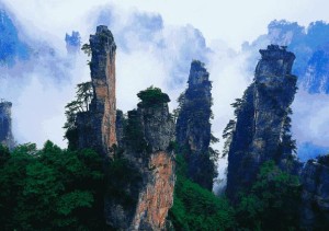 阴阳变化法则是什么
