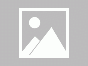  八字财格是什么意思