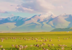 兑卦卦象,兑为泽卦的象征意义