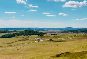 如何根据生辰八字算