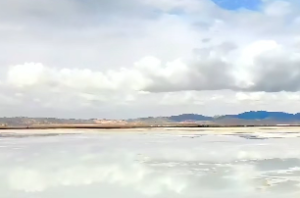 什么是火羊之命