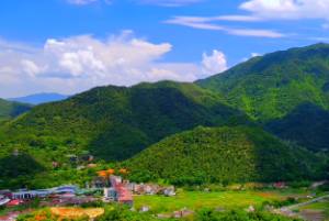 女命4两4钱的命