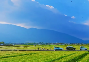 八字看官职级别