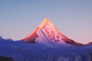 核心功效与禁忌