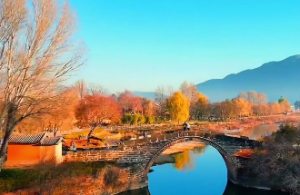 八字十神伤官是什么