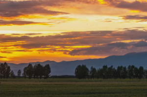 文梁振纪有个啥用
