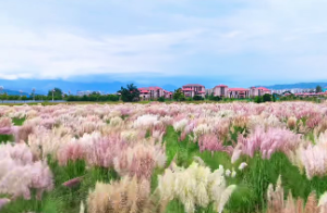 长流水命最怕什么命