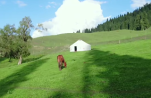 化科、化禄、化权、化忌的含义