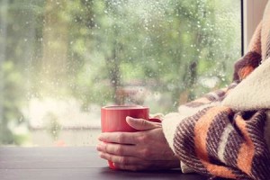  招财窗帘图片大全