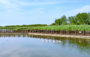 沙中金命最忌讳什么人