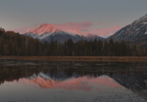英星入庙格女命好不好